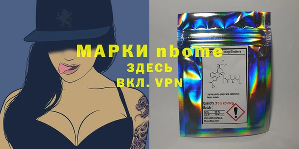стаф Сатка