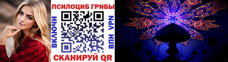 Псилоцибиновые грибы Cubensis где найти наркотики мега как войти Зея